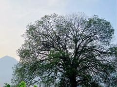 -牛角寨瀑布景区