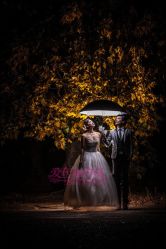 -施华洛婚纱摄影会所(范阳中路店)