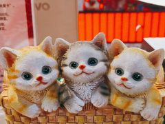 -将太无二·北美传奇寿司(荟聚购物中心西红门店)