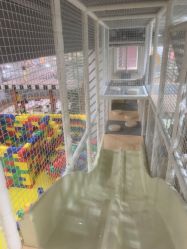 -宝燕乐园(春申店)
