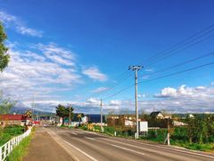 -富田农场