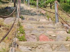 -北京十三陵国家森林公园蟒山景区