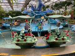 -南宫五洲植物乐园