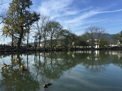 -南湖书院