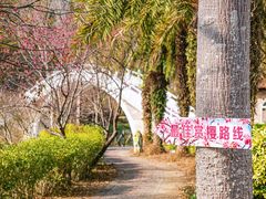 -田野绿世界