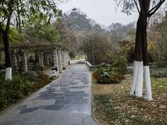 -花溪公园