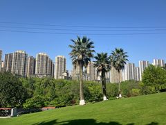 -龙头寺公园