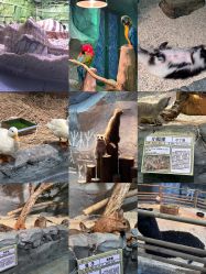 -Zoolung Zoolung动物主题公园(海信广场店)