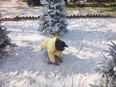 -HERRE·FARM 赫尔露营农场·团建聚会包场