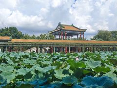 -宝墨园景区