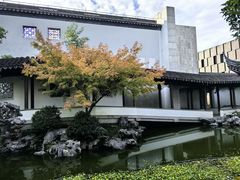 -秋霞圃