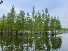 -白鹭湾湿地公园