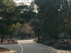 -香山公园-东宫门售票处