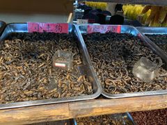 -昆虫窝子·特色云南菜(拓东路总店)