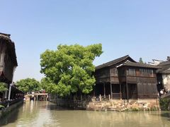 -乌镇西栅景区