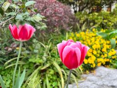 -浙江西子宾馆·瑶园咖啡厅