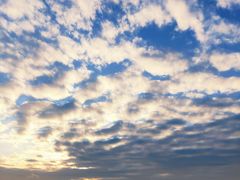 -演武大桥观景平台