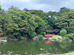 -东京国立博物馆