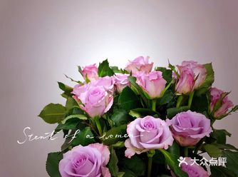 四十块的美丽送给生活~