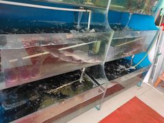 -滇香肴·云南菜蒸汽石锅鱼(云南北路店)