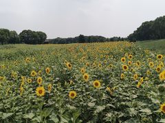 -苏州湾体育公园