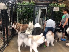 -TrueLove @ Neverland (Husky Cafe)