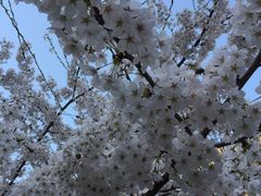 -少华山国家森林公园