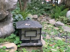 -玖味(老工人西路店)