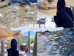 -珠海海泉湾神秘岛亲子乐园