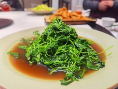 -蜀香格格•剁椒鱼头(龙西店)