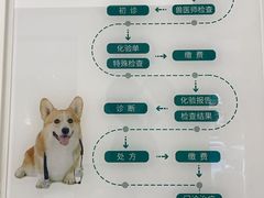 -瑞派康怡24h宠物医院·犬猫医疗中心·微创绝育(瑞景分院)