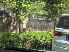 -秦皇岛野生动物园