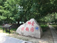 游乐设施-朝阳公园