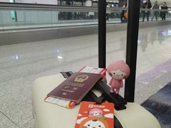 -香港国际机场-T2航站楼