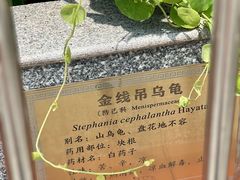 -广州神农草堂中医药博物馆