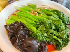 -新白鹿餐厅(松江开元地中海店)