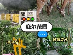 -老鼎万春卤菜(五代传承创始老店)