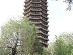 -博雅塔