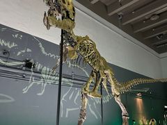 -香港科学馆
