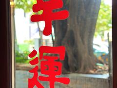 -树夏Tree Summer