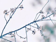 -方庄体育公园