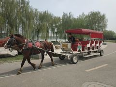 景点-西安世博园