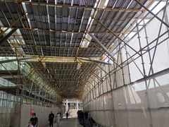 -上海中医药大学附属曙光医院(东部)
