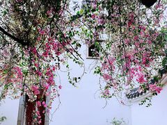 -深圳国际园林花卉博览园