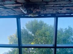 -VOYAGE COFFEE(北锣鼓巷店)