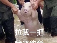 -碧桂园凤凰城酒店(南京店)