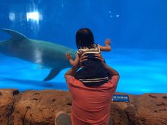 -华夏文旅海洋公园