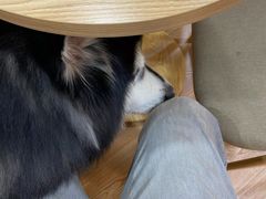 -白兔子密室(长寿路店)