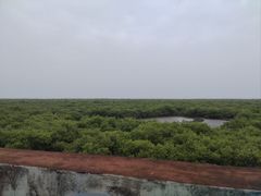 -北海金海湾红树林生态旅游区