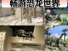 -国家自然博物馆